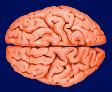 Seizures Can Tear Your Life Apart