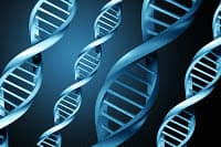 Link Between Multiple Sclerosis and Autism