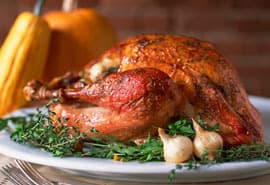 Thanksgiving Overstimulation