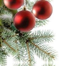 Handling the Holiday Season and Autism