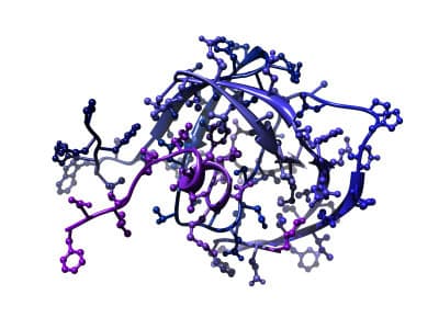 The Truth About Enzymes and How They Can Help Beat the Holidays