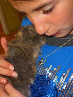 Pets Help Children on the Spectrum with Social Skills