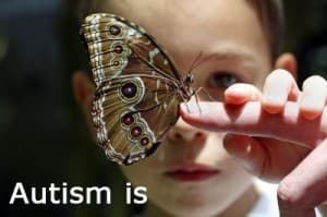 What Autism Is