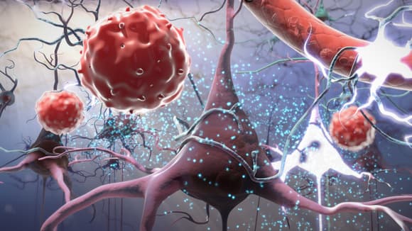 What’s a Father Supposed to Think About Autism and Cord Blood Stem Cells?