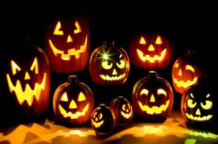 Lions and tigers and bears...and other Halloween encounters