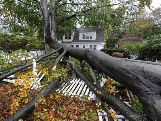Hurricane Sandy