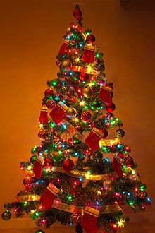 Christmas Tree or Holiday Tree?
