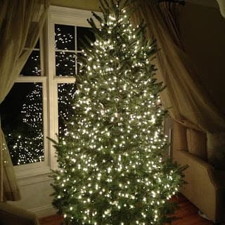 ADHD and the Christmas Tree