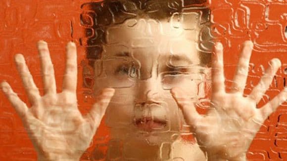 The Difficulty of Explaining Autism