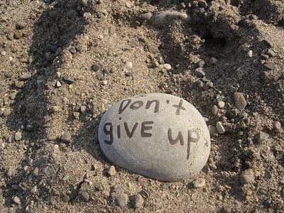 Not Giving Up