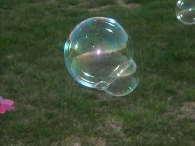 Chasing Bubbles