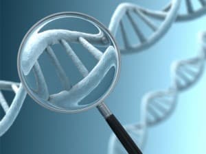 Is Autism Genetic?