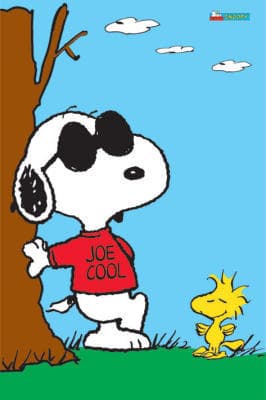 The Education system - 'too cool for school'?