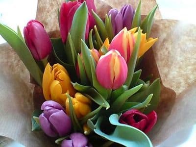 Happy Mother's Day