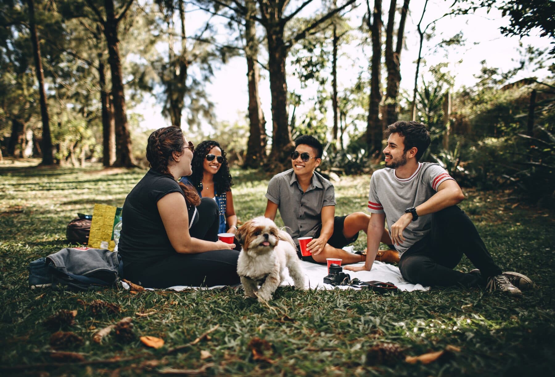 Friendship: A Handbook, Part 3
