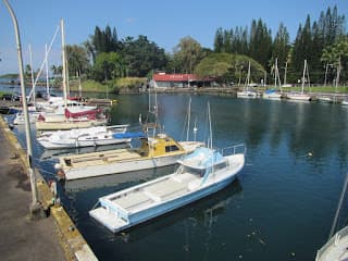 The Role of Autism in Polynesian Navigation