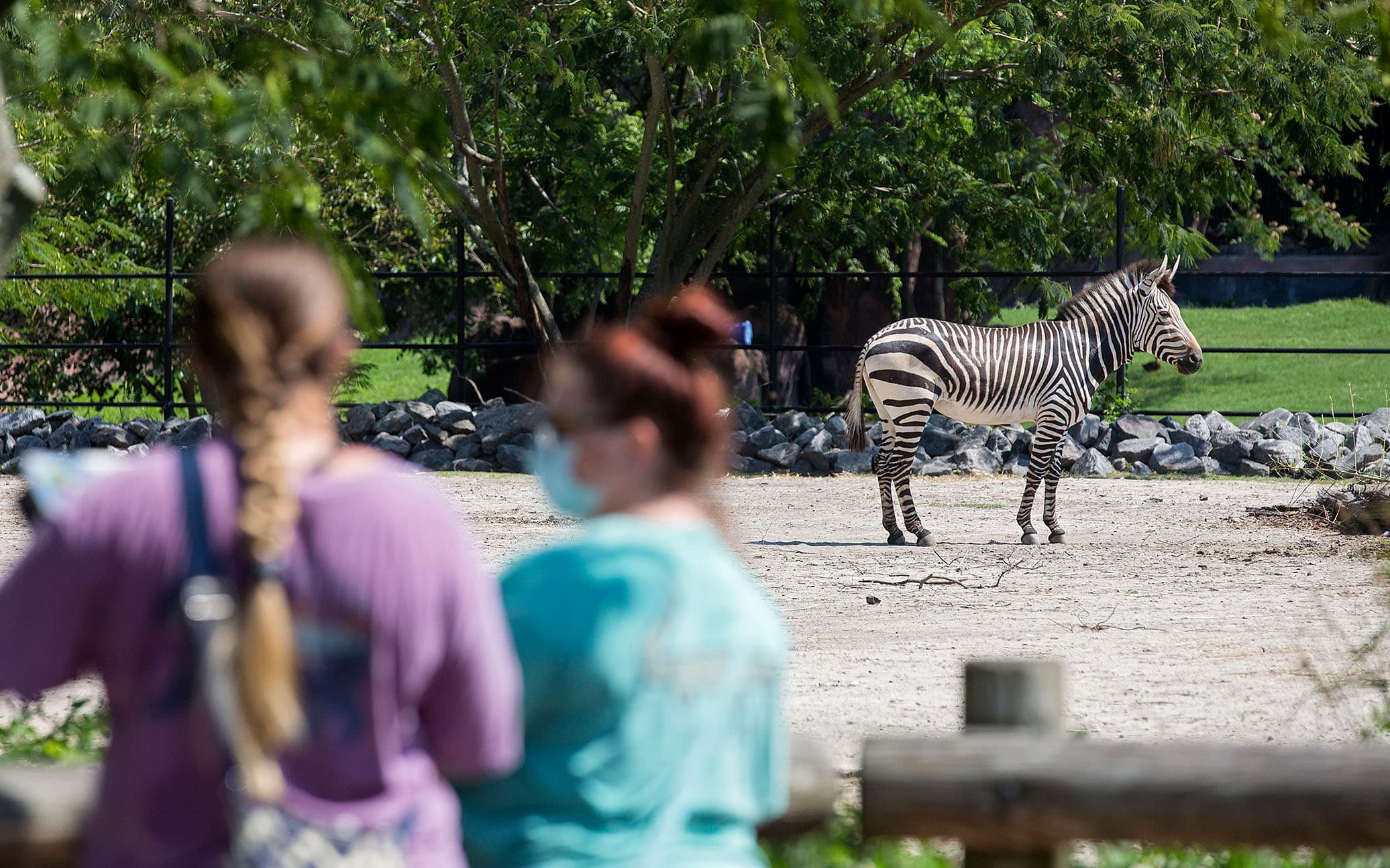 Zoos Working To Become More Autism-Friendly