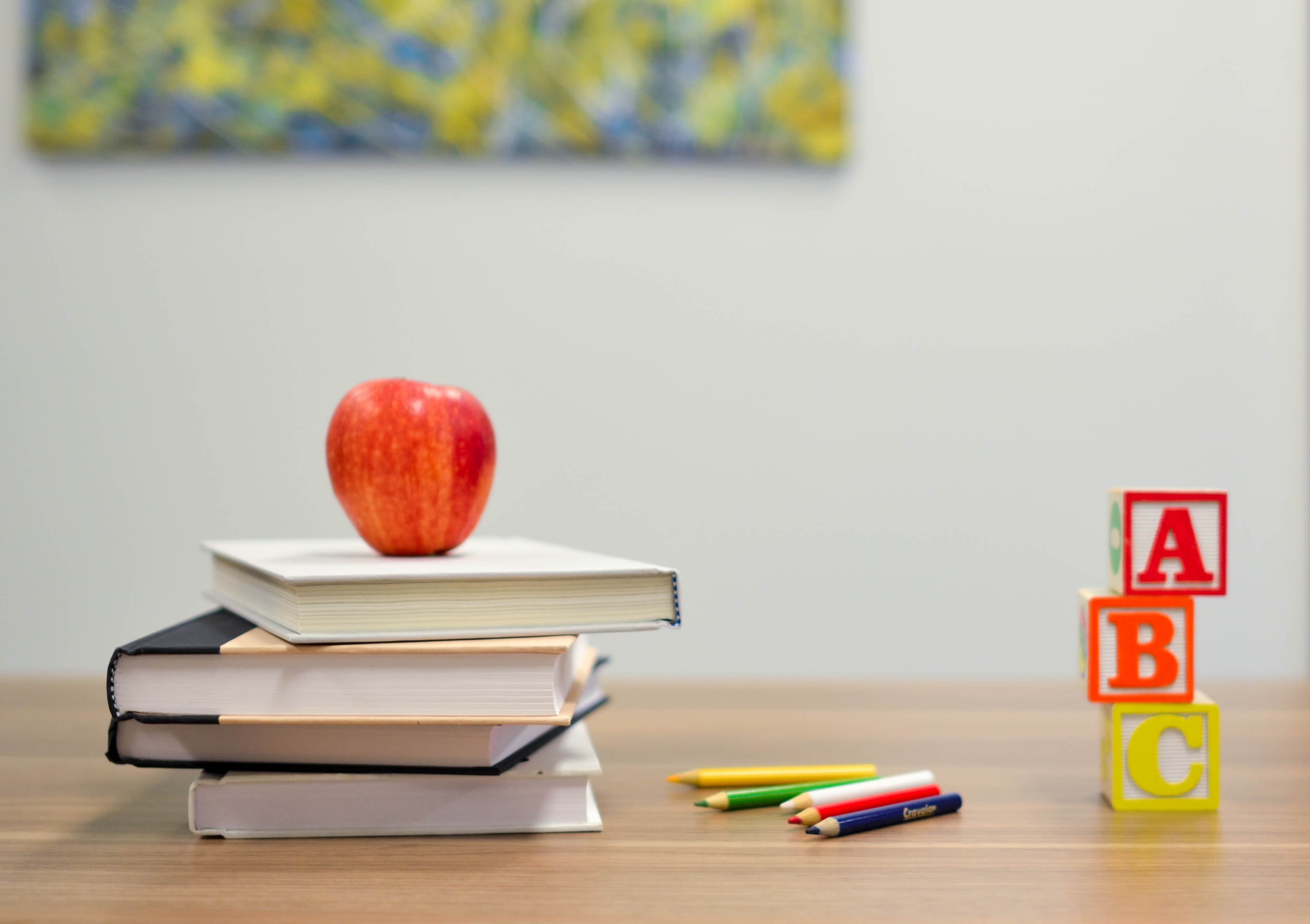 S4 E4 Schools and Special Needs