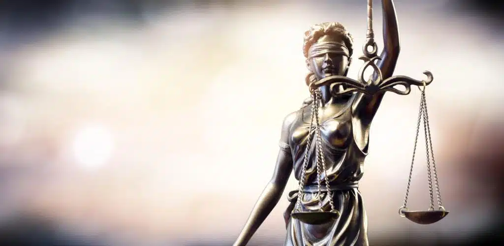 What Happens When My Child is Legally an Adult?
