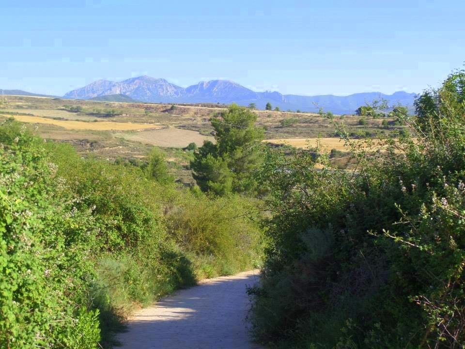 Trekking the Camino de Santiago de Compostela with Autism mountains Trekking the Camino de Santiago de Compostela with Autism mountains