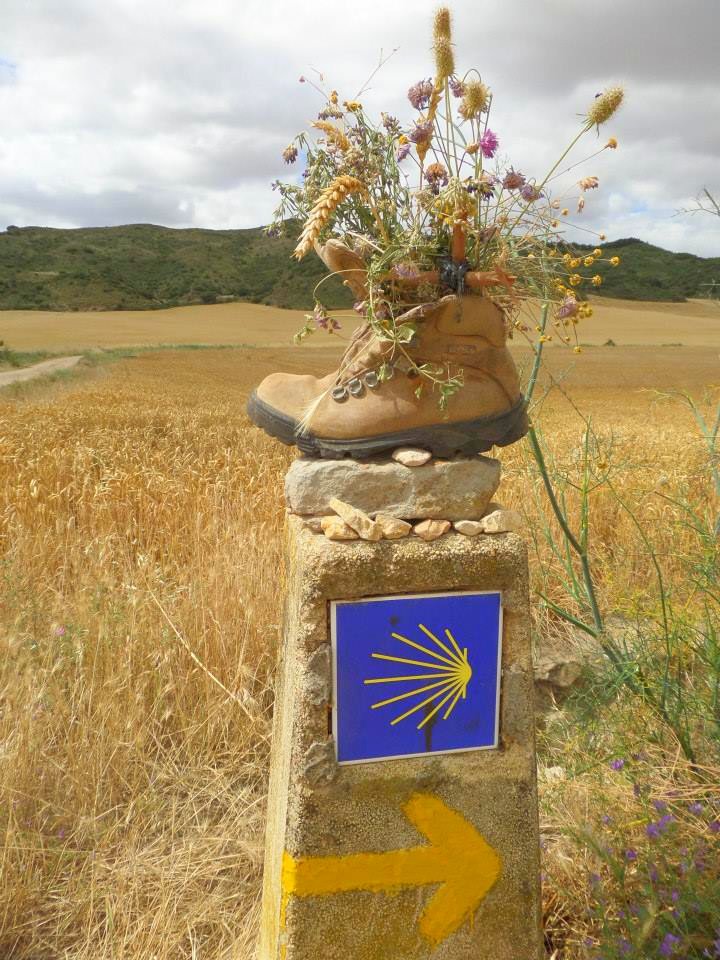 Trekking the Camino de Santiago de Compostela with Autism boot Trekking the Camino de Santiago de Compostela with Autism boot