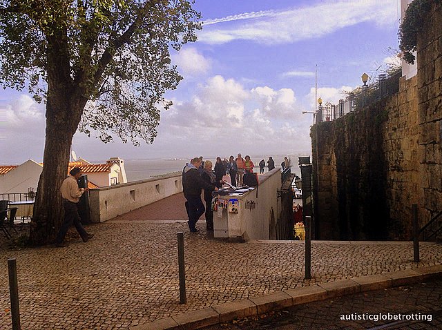 Taking Kids with Autism to Lisbon Portugal tree Taking Kids with Autism to Lisbon Portugal tree