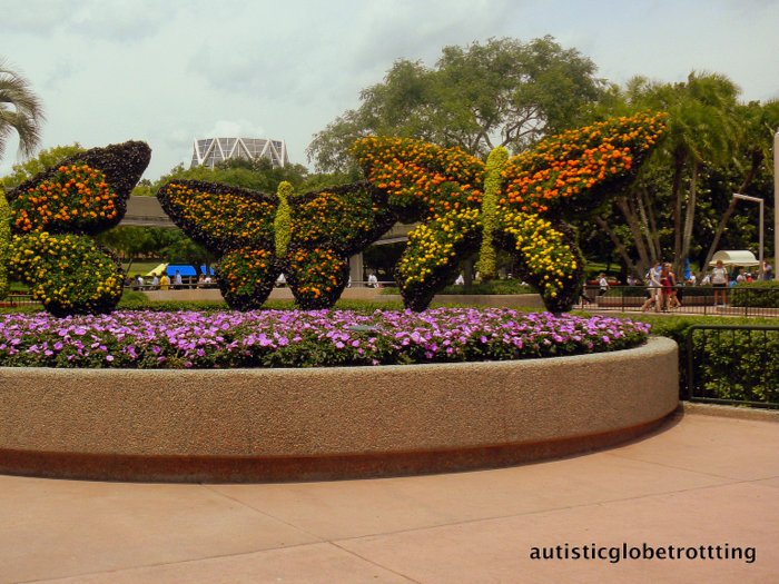 Clothing Tips When Taking Kids with Autism to Disney World butterfly Clothing Tips When Taking Kids with Autism to Disney World butterfly