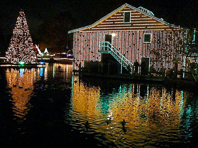 Best Thanksgiving Destinations for autism dollywood lights