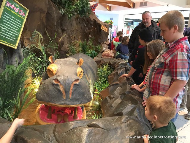 Family Fun in Nashville City hippo Family Fun in Nashville City hippo