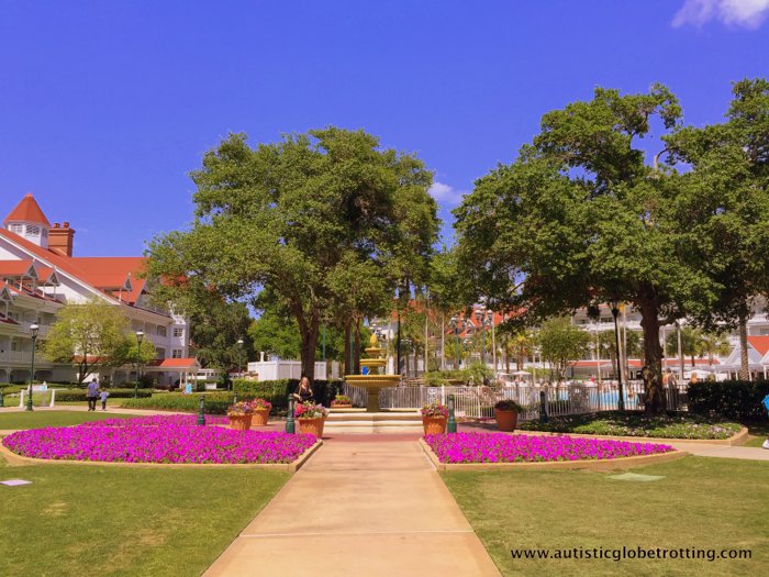 Our Family Stay at Disney's Grand Floridian grass Our Family Stay at Disney's Grand Floridian grass