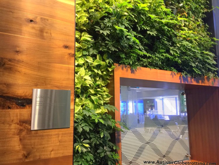 How we liked San Francisco International Airport Centurion Lounge wall