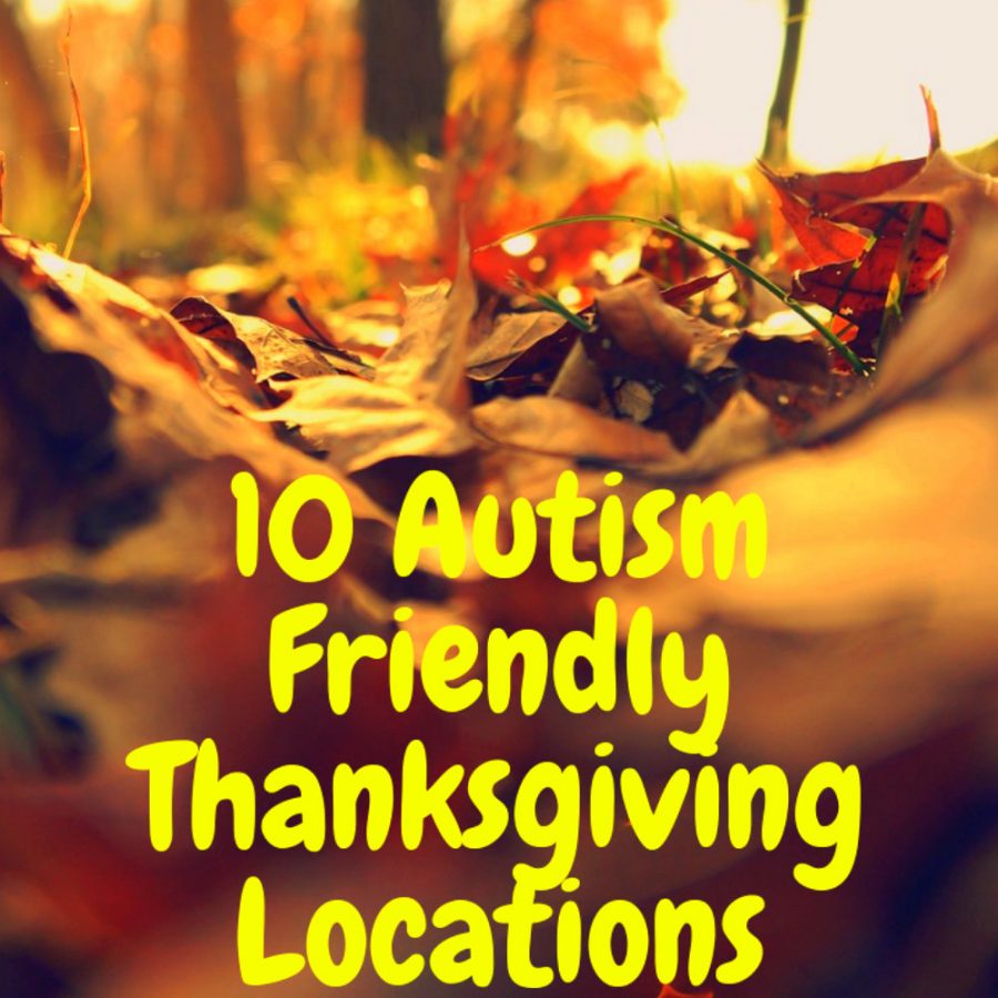 iving Destinations for autism pin