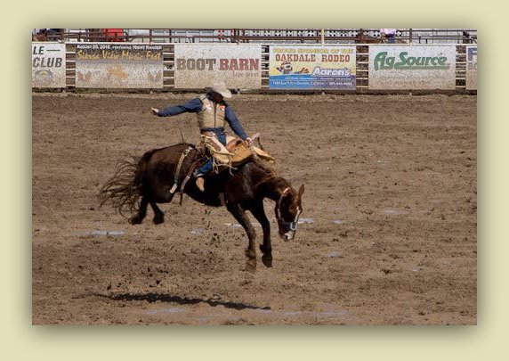 Q&A with Candy Harrington author of '22 accessible road trips' rodeo Q&A with Candy Harrington author of '22 accessible road trips' rodeo