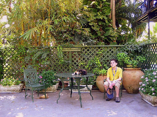 Taking Kids to the Hemingway House Museum sitting Taking Kids to the Hemingway House Museum sitting