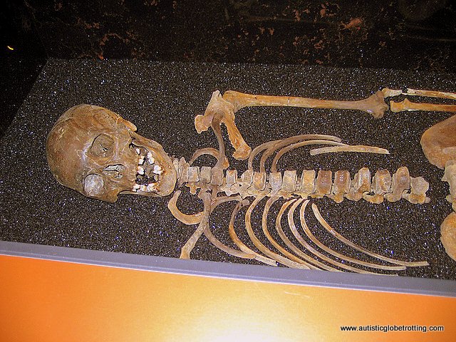 Taking the Family to Stockholm's Vasa Museum bones Taking the Family to Stockholm's Vasa Museum bones