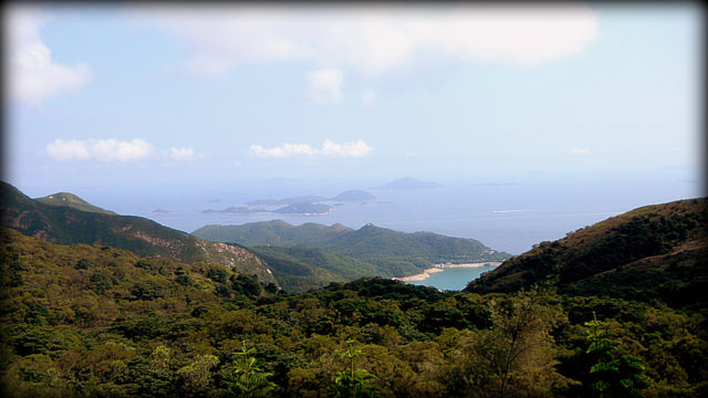Have You Climbed Any Steps Lately? Giant Buddha Lantau Island Have You Climbed Any Steps Lately? LANTAU