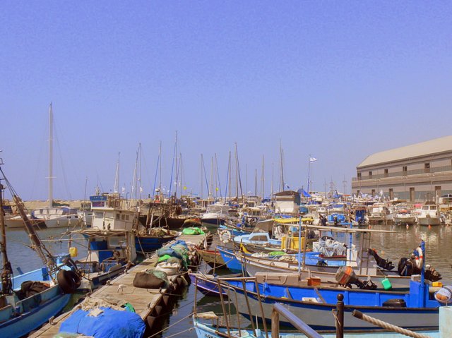 Exploring Jaffa Israel with Kids sea Exploring Jaffa Israel with Kids sea