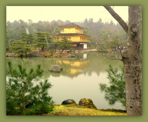 Q&A with Dr Stephen Mark Shore- Autism Advocate and Author japan Q&A with Dr Stephen Mark Shore- Autism Advocate and Author japan