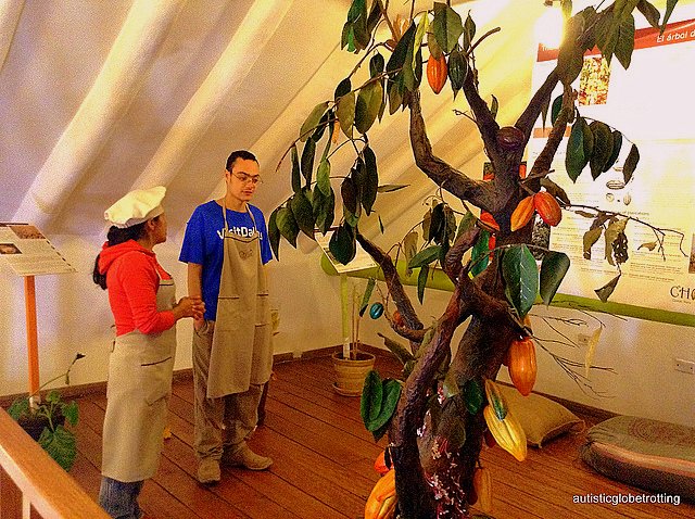 Family Fun at Cusco's ChocoMuseo tree Family Fun at Cusco's ChocoMuseo tree