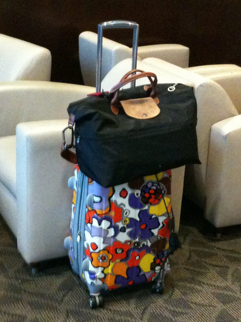 Unraveling the Secrets of a Well Packed Handbag suitcase