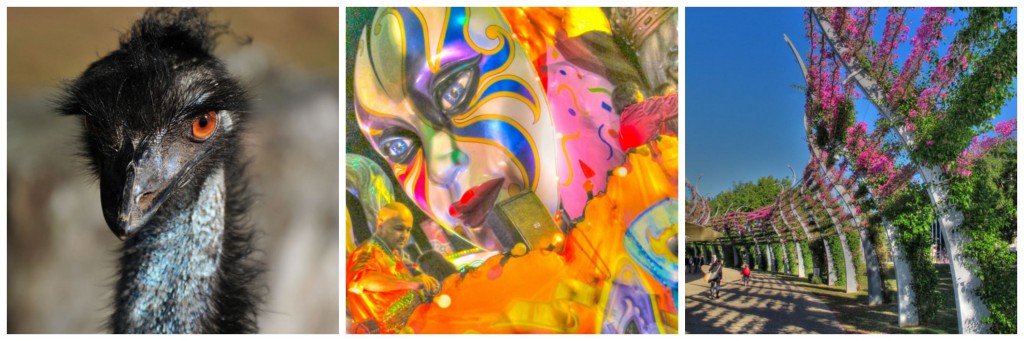 Q&A with John Elder Robison author of 'Look me in the eye' Q&A with John Elder Robison author of 'Look me in the eye' COLLAGE