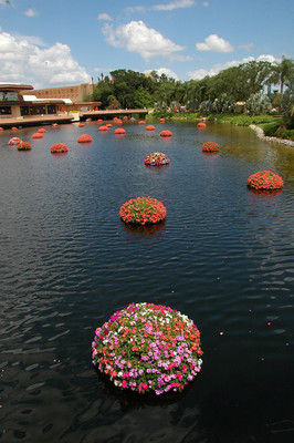 About The Ability of Asperger Syndrome Children to Hyper-Focus Asperger Syndrome