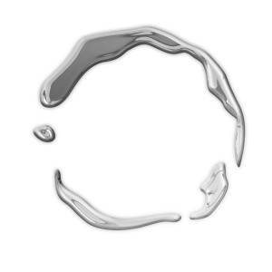 Autism and Stem Cells