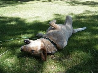 Summer with Autism Summer with Autism